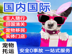 陇南成县机场货运国际宠物托运 【国